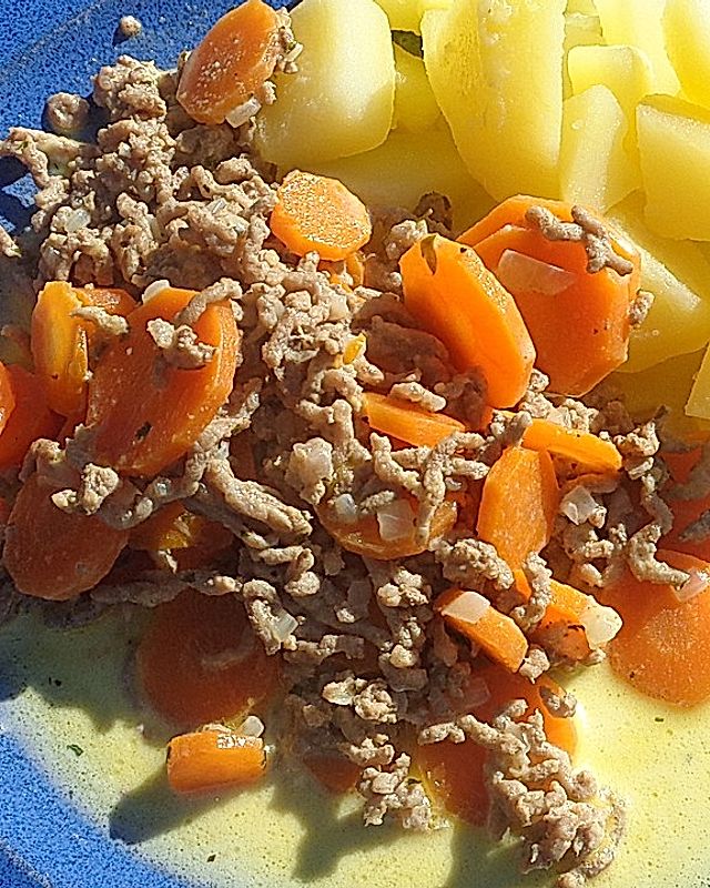 Sahne-Karotten mit Hackfleisch
