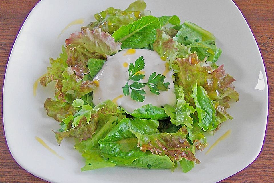 Blattsalat mit Mangobalsam Blattsalat mit Mangobalsam