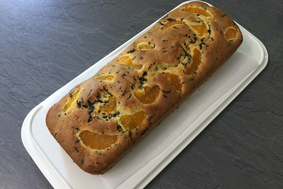 Schoko - Aprikosen - Kuchen (schnell)