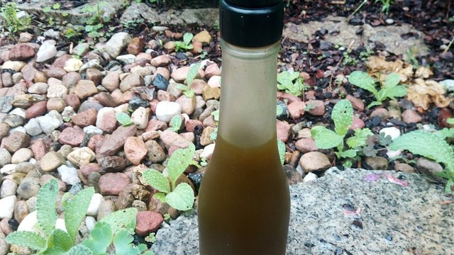 Sirup aus Zitronenmelisse von luna15390