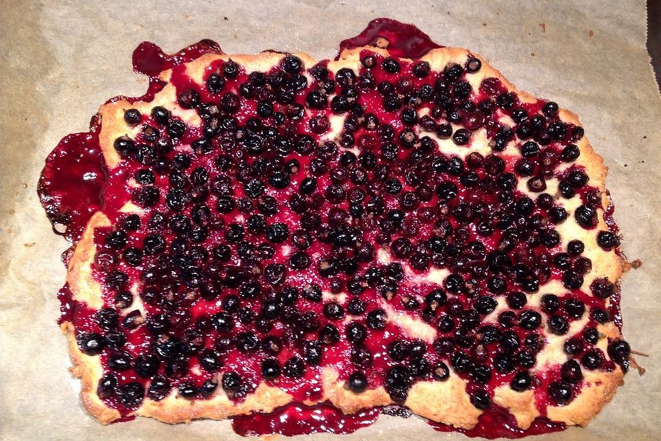 Schwarze Johannisbeeren-Hefekuchen mit Kokos