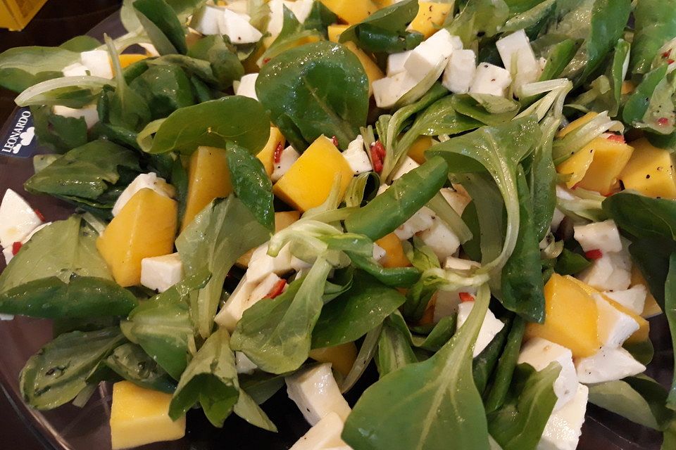 Mango-Mozzarella-Salat