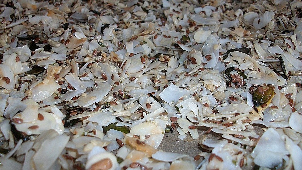 Paleo Kokos-Knusper-Müsli Grundmischung, glutenfrei von Hexentöpfchen ...