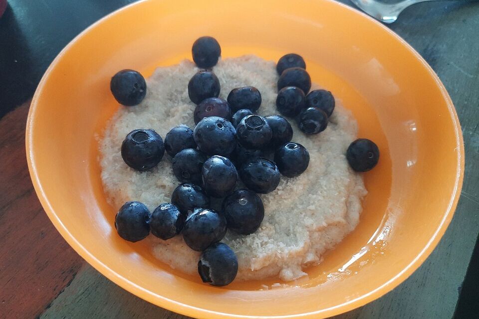 Grießpudding vegan Grießpudding vegan