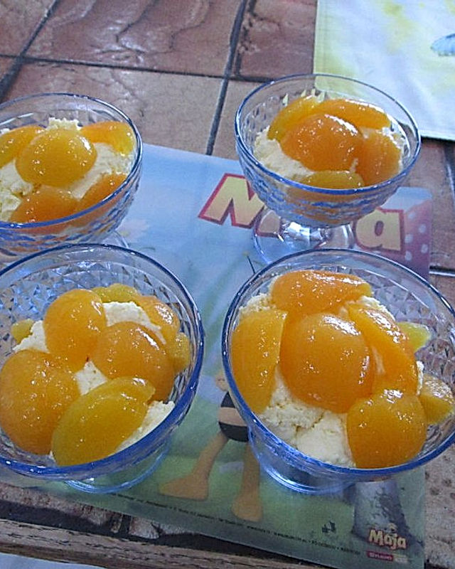 Aprikosen-Dessert