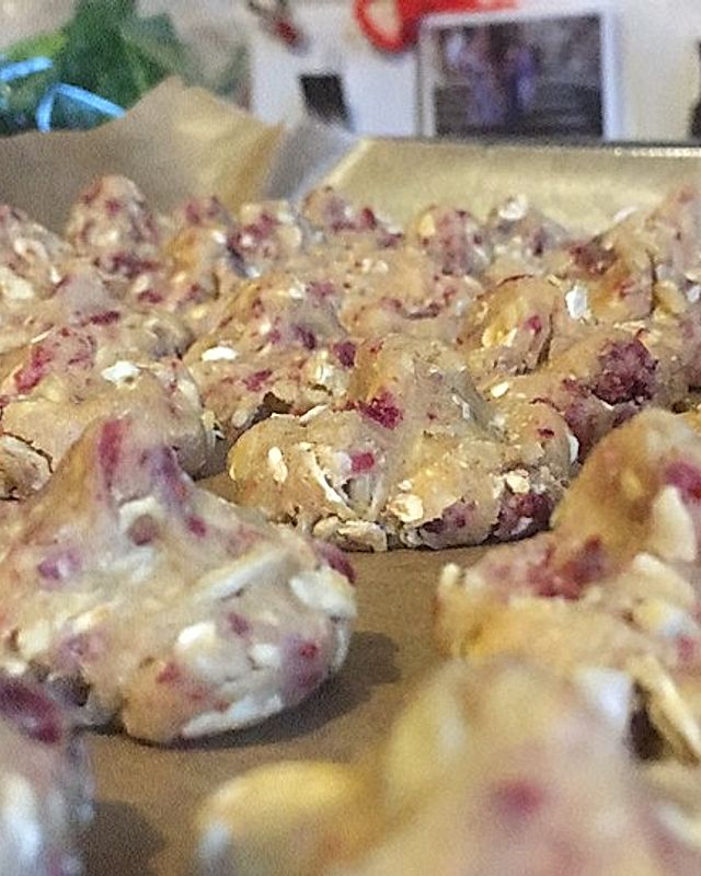 Haferflocken-Cranberry-Sonnenblumenkern-Cookies