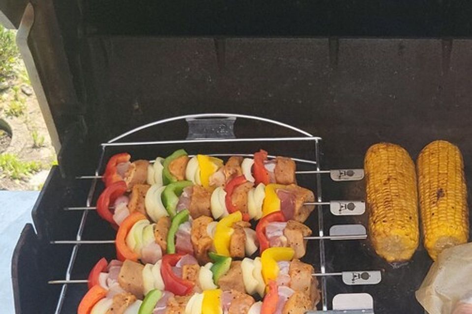 BBQ Schaschlik-Grill-Spieße