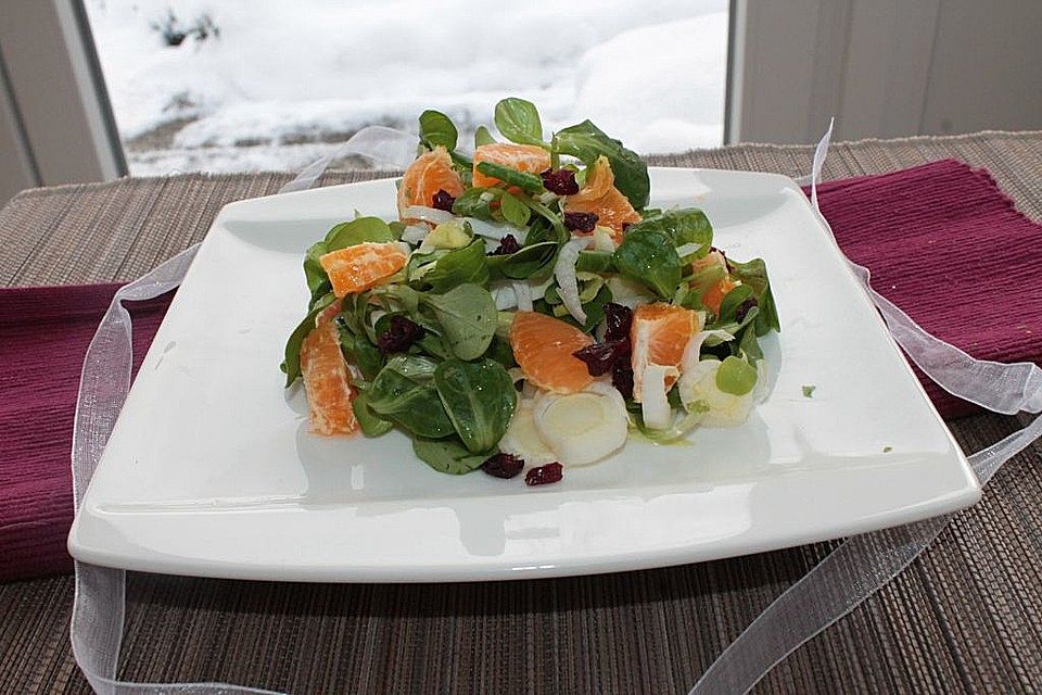 Chicorée und Feldsalat mit Cranberries und Mandarinen