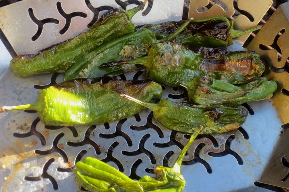 Pimientos de Padrón mit Fleur de Sel