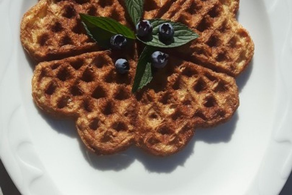 Low Carb Waffeln mit Haferflocken