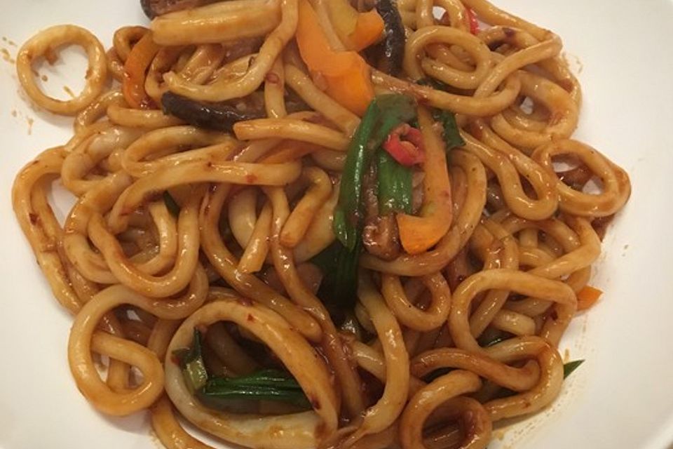 Gebratene Udon-Nudeln mit Hoisinsoße