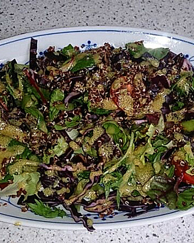 Quinoa mit Rotkohl und grünem Salat