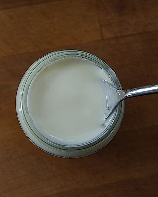 Naturjoghurt selber machen