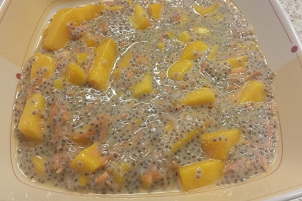 Chia-Mango-Karotten Frühstück von küchen_zauber | Chefkoch