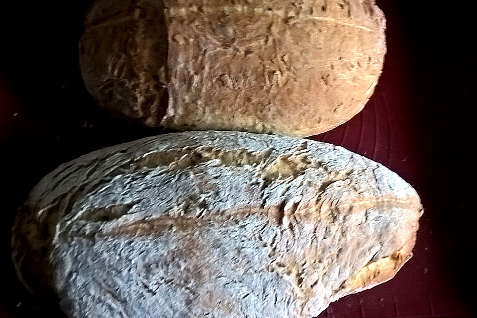 Brot mit Anis und Kernen