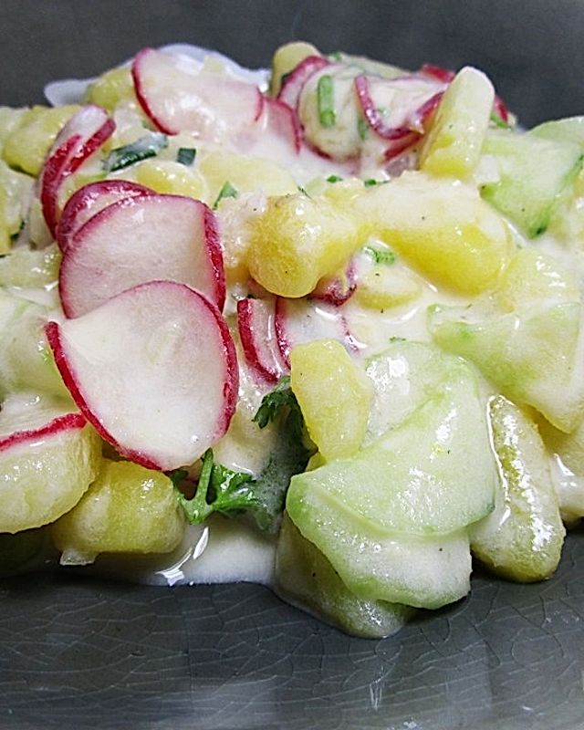 Kartoffel-Gurken Salat mit Joghurt und Zitrone