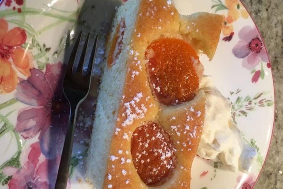 Marillenkuchen