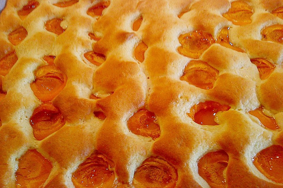 Marillenkuchen