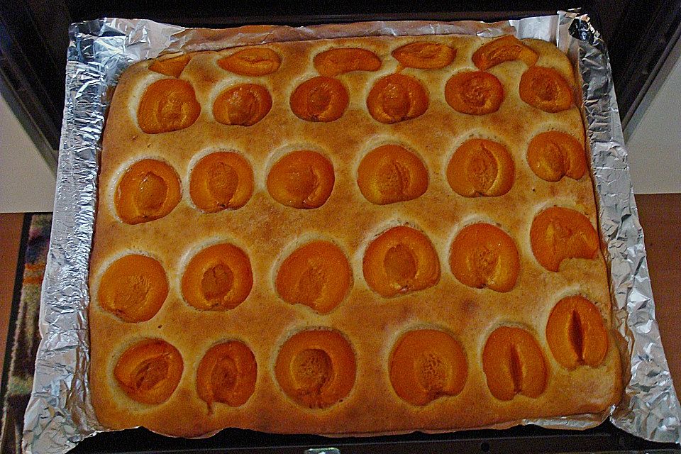 Marillenkuchen