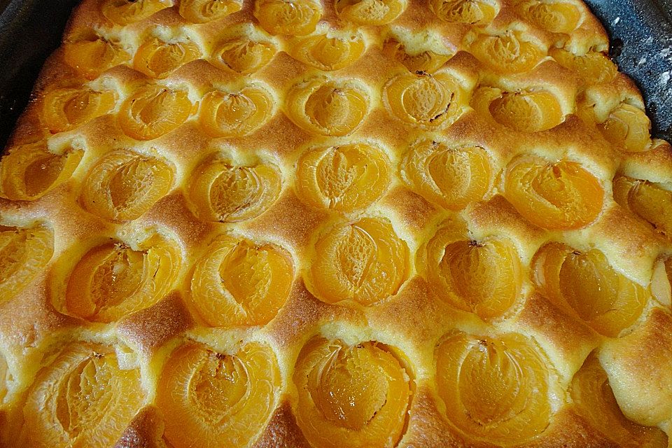 Marillenkuchen