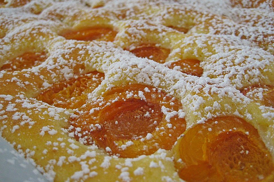 Marillenkuchen