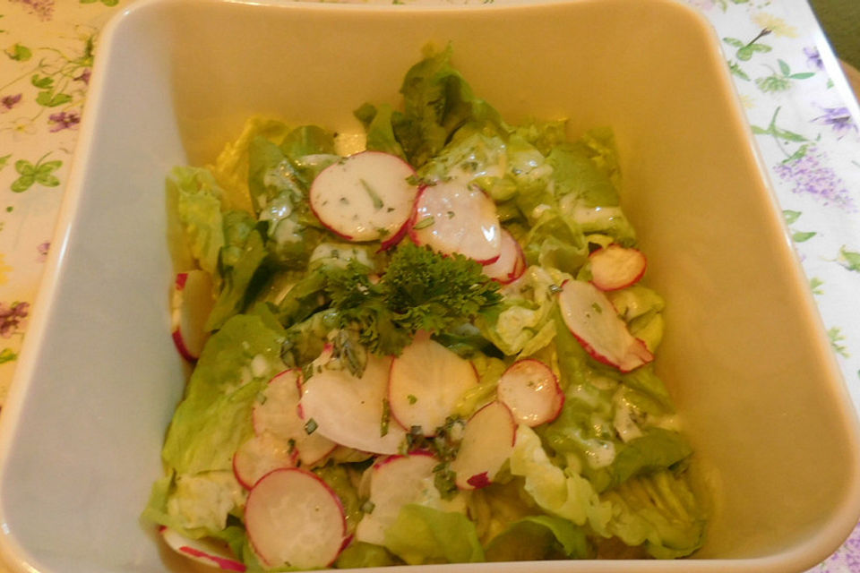 Kopfsalat mit Radieschen in Kefir-Petersilien-Dressing