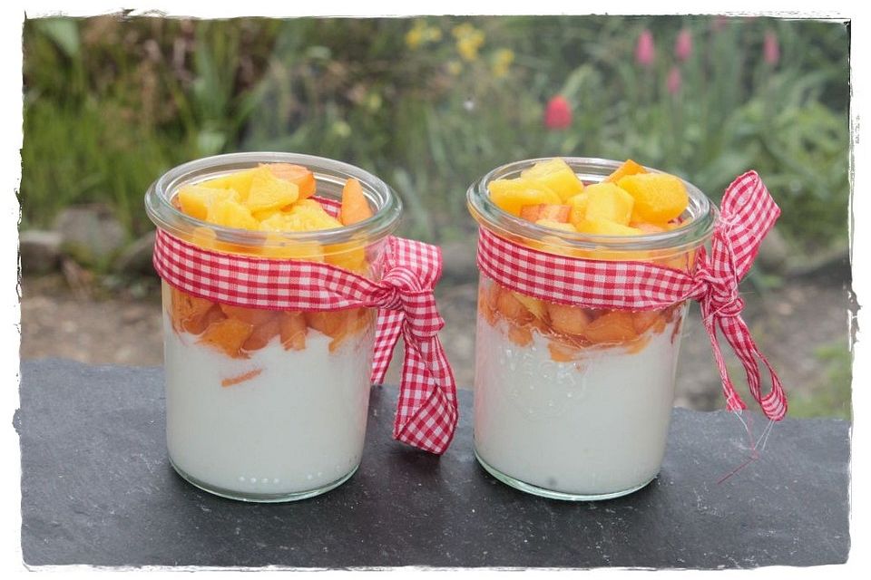 Mango und Mispelstückchen auf Kefir-Joghurt-Speise