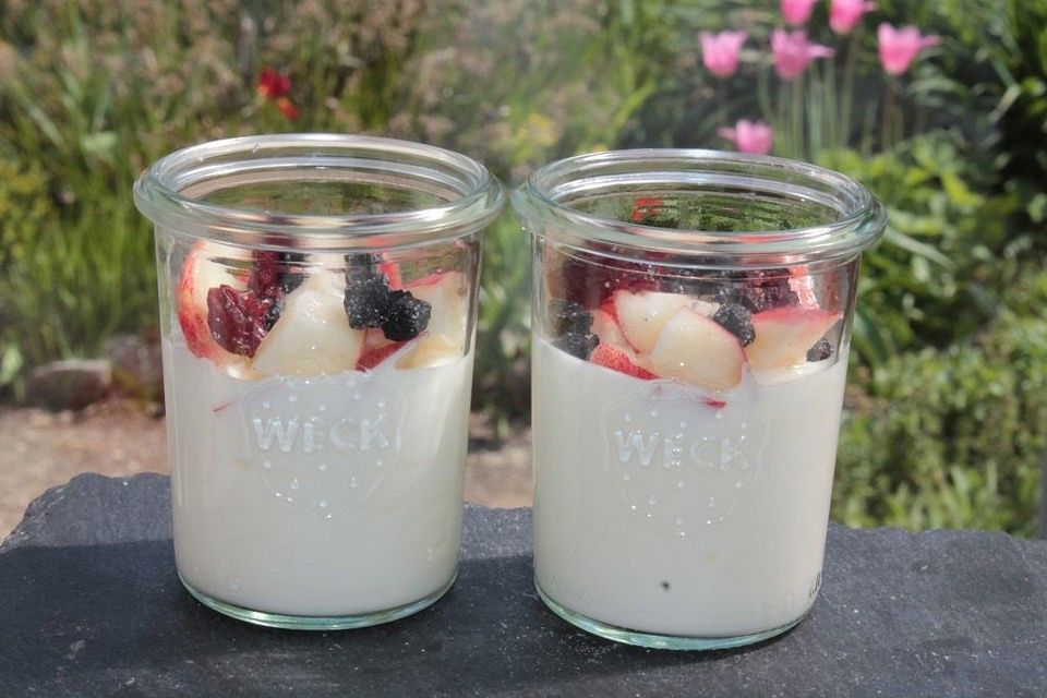 Joghurt-Dessert mit Nektarine, Aroniabeeren und Cranberries