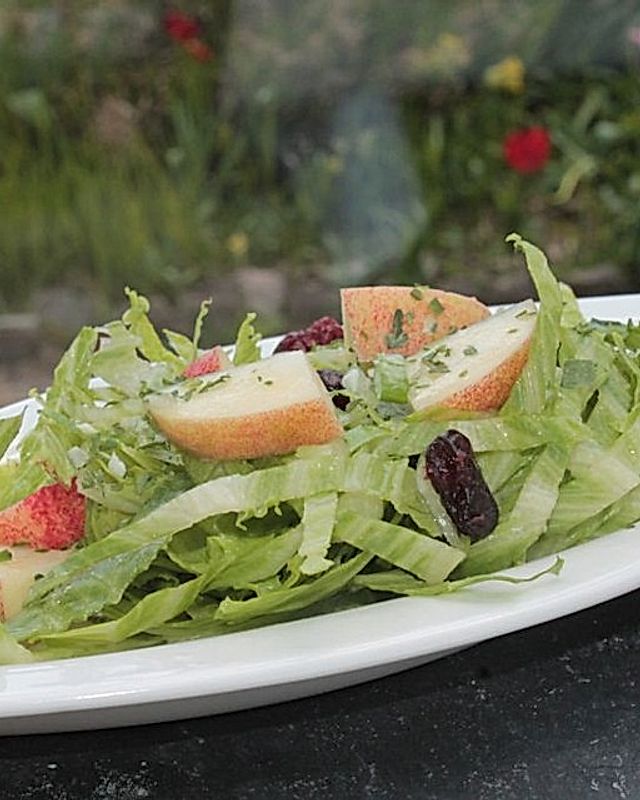 Blattsalat mit Nektarine und Cranberries in Essig-Kräuter-Dressing
