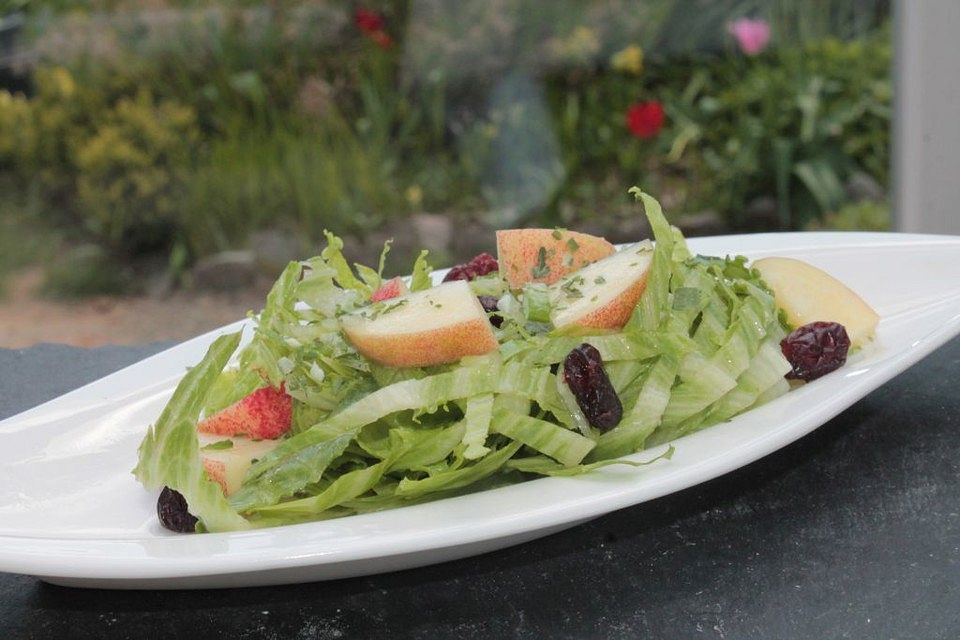 Blattsalat mit Nektarine und Cranberries in Essig-Kräuter-Dressing