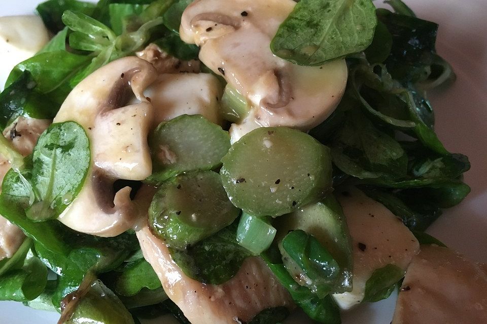 Feldsalat mit Hühnerbrust, Spargel, Champignons und Mozzarella