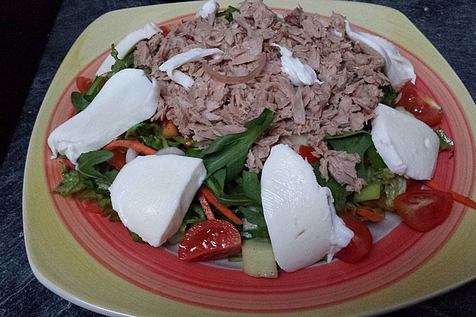 Gemischter Salat mit Käse und Thunfisch