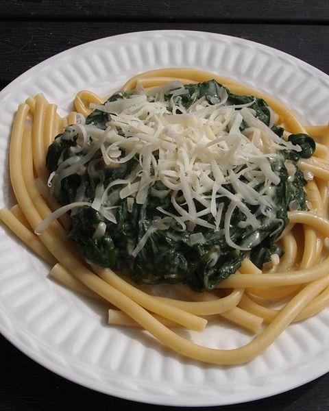 Spinatnudeln Rezepte | Chefkoch Spinatnudeln Rezepte | Chefkoch