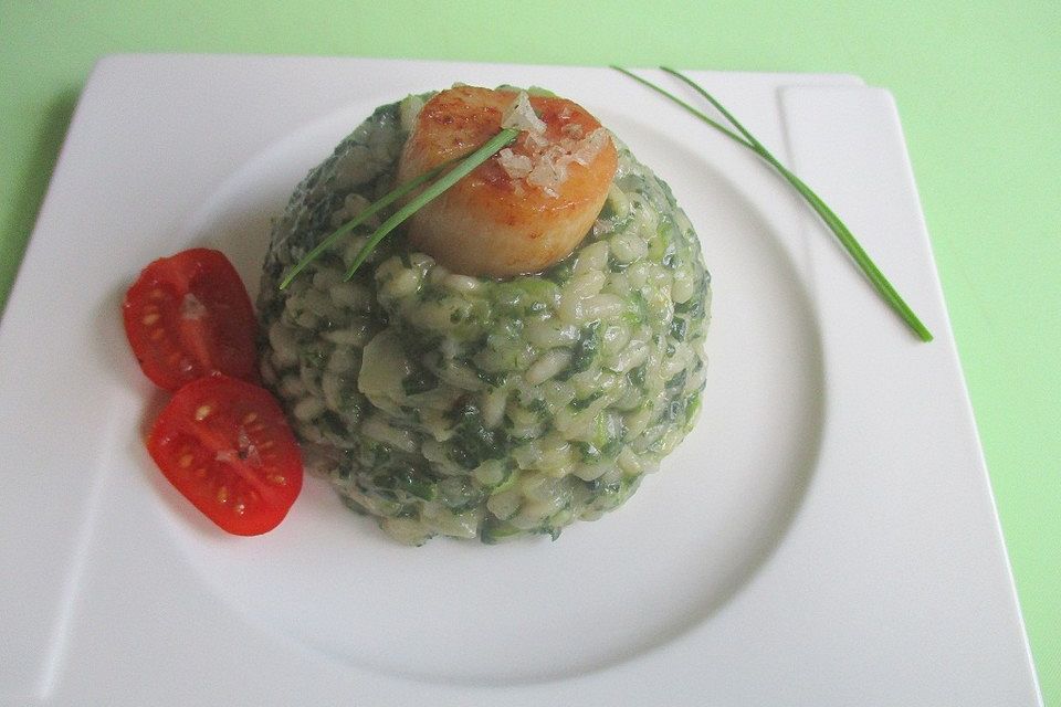 Spinat-Risotto mit Jakobsmuscheln