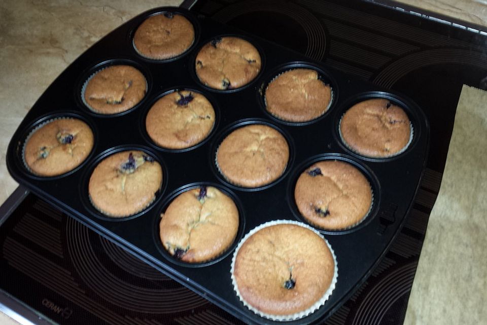 American Blueberry Muffins