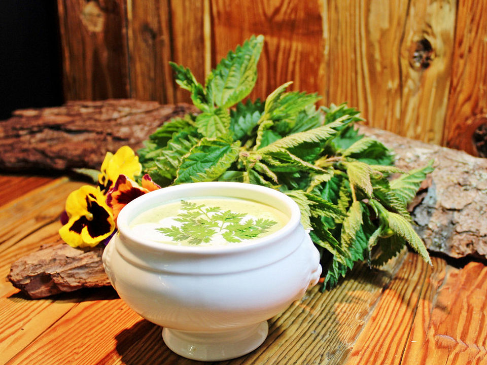 Brennnesselsuppe von Hörnlepass| Chefkoch