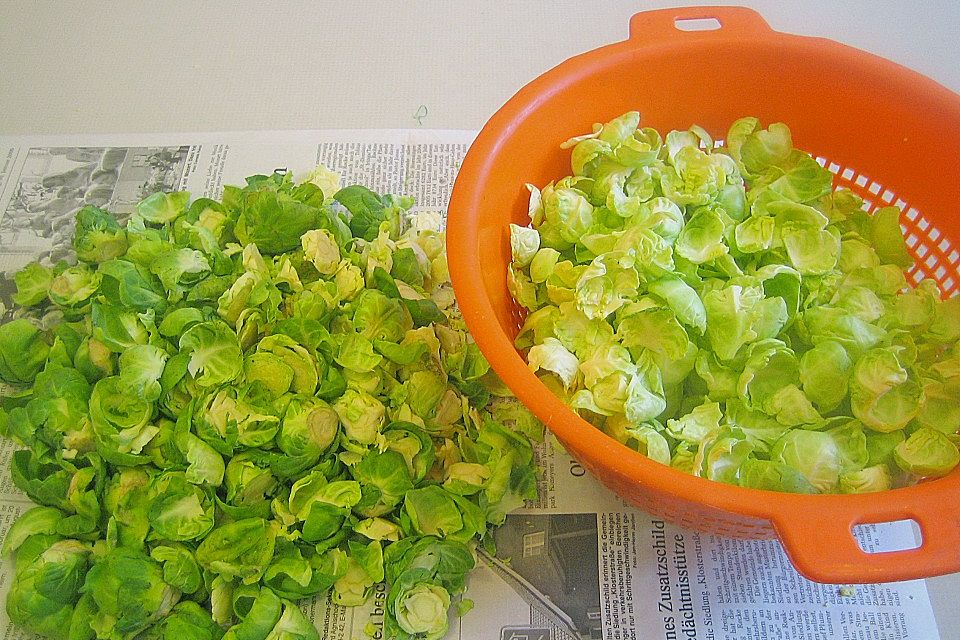 Wachtel auf Rosenkohlsalat mit Preiselbeervinaigrette