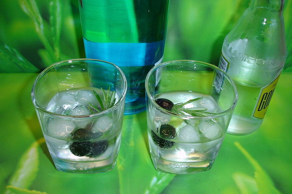 Gin-Tonic Mediterran