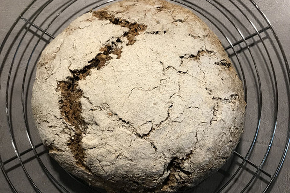 Trebervollkornbrot mit Dinkel, Weizen und Roggensauerteig