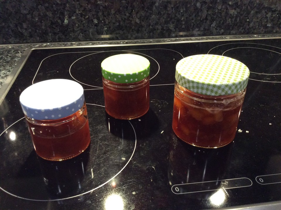 Rhabarber-Nektarinen-Konfitüre von pet65 | Chefkoch