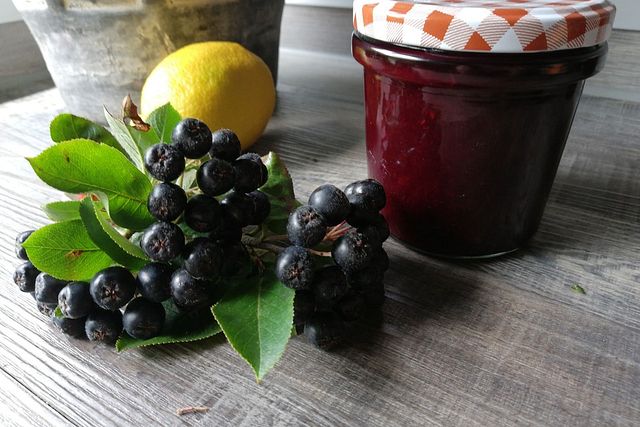 Aronia-Nektarinen-Konfitre von hasenwuff
