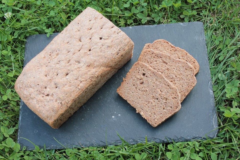 Treber-Vollkornbrot mit Sauerteig und Molke