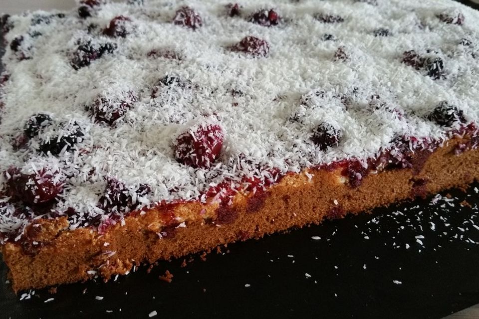 Kakaokuchen mit Kokosbelag