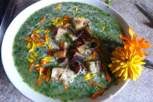 Salatsuppe mit Schinken- und Brotwürfeln von waldkraut| Chefkoch