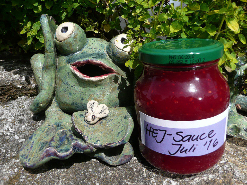 Himbeer-Erdbeer-Johannisbeer-Sauce von schmecktdoch| Chefkoch