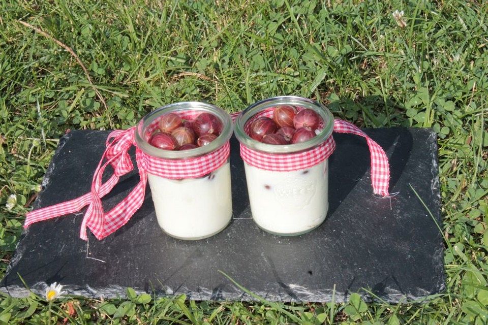 Dessert mit Sauerrahm, weißer Schokolade und Stachelbeeren