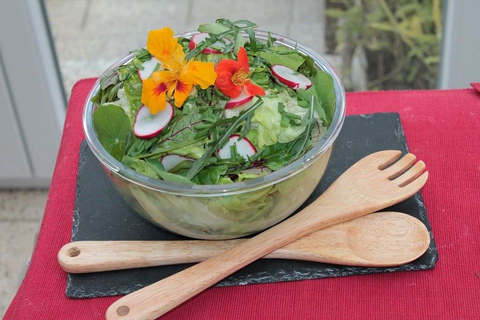 Bunter Kopfsalat mit Wildkräutern und Radieschen