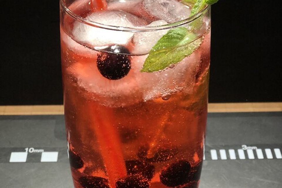 Blueberry Gin and Tonic