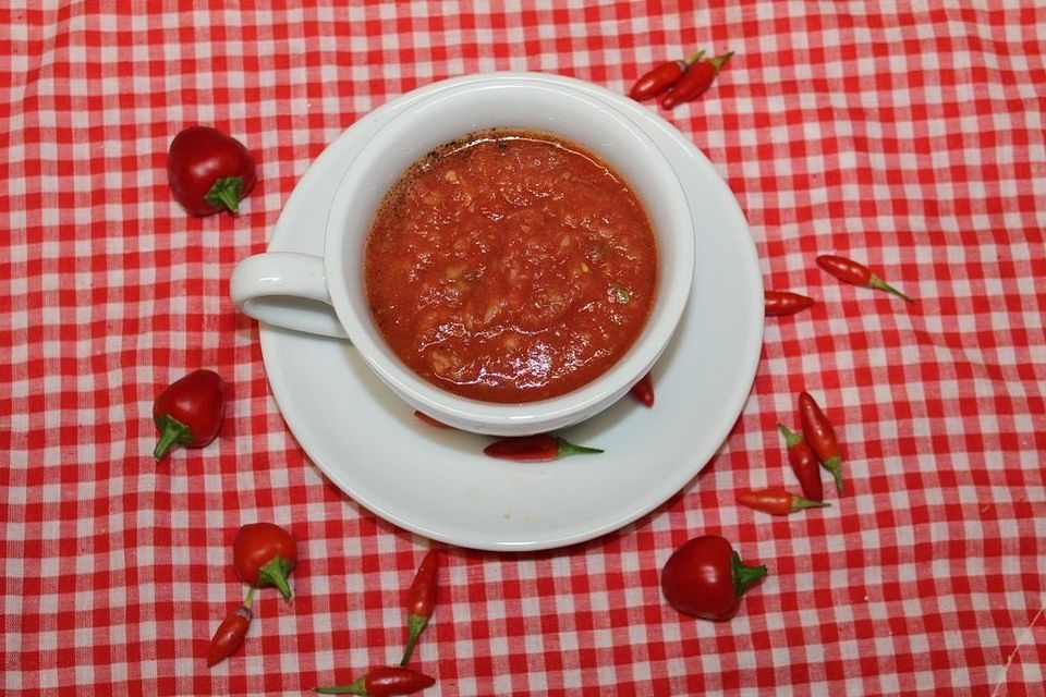 Tomaten-Fenchel Gazpacho