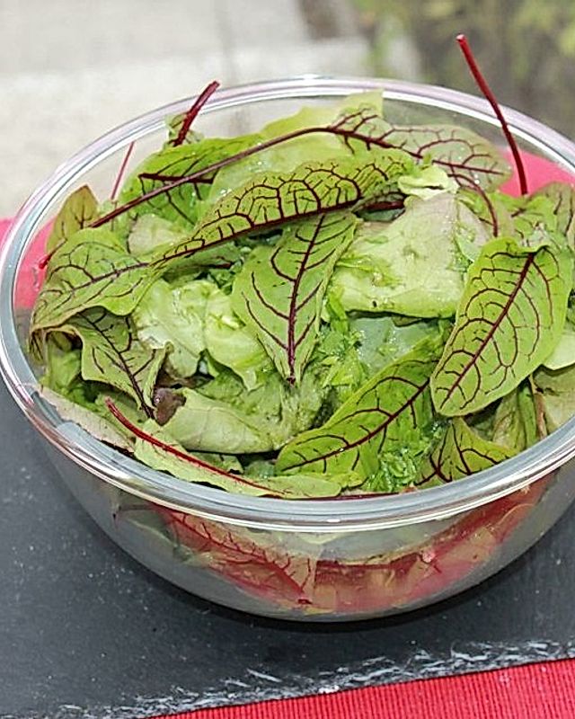 Blatt-Blutampfer-Salat in Zitronen-Schnittlauch-Dressing